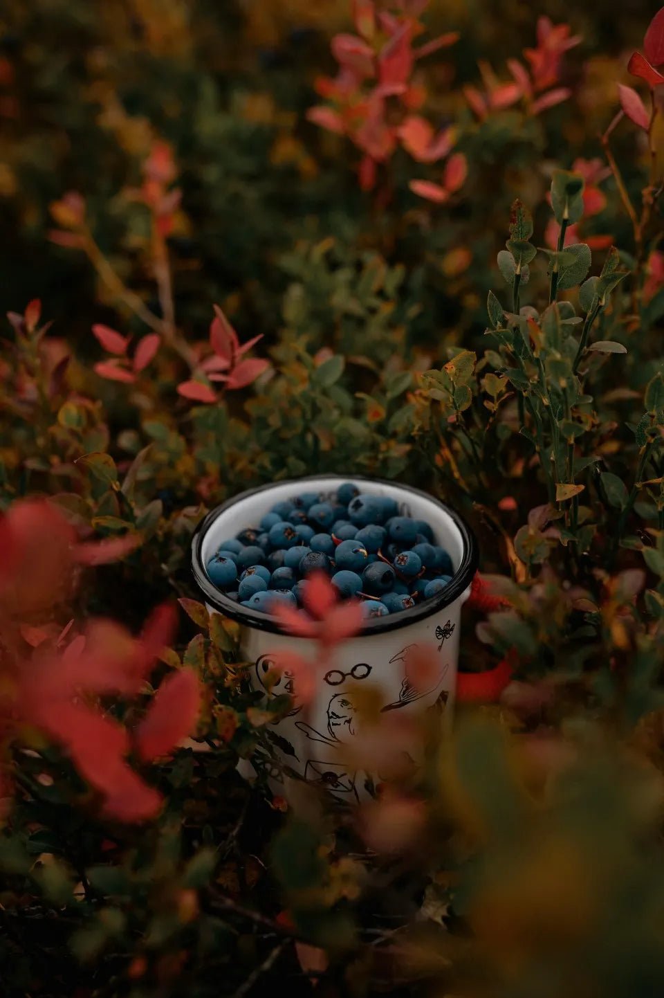 Blueberry Bushes - Soil Song