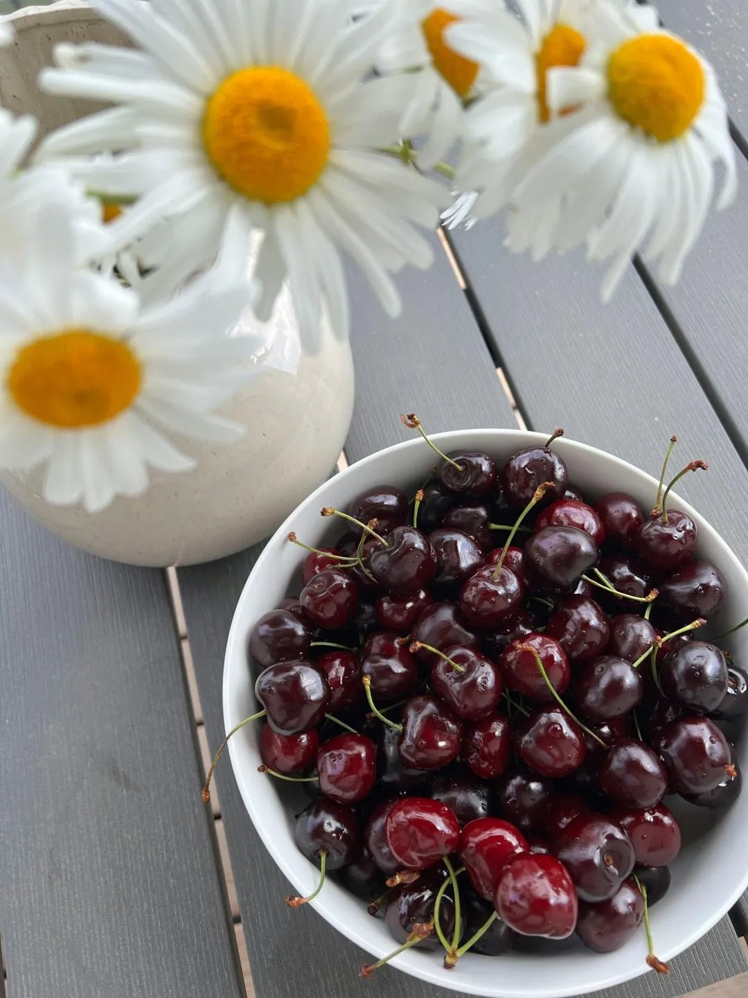 Cherry Trees - Soil Song