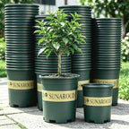Set of green ribbed planter pots with SUNAROUND labels, including small potted tree