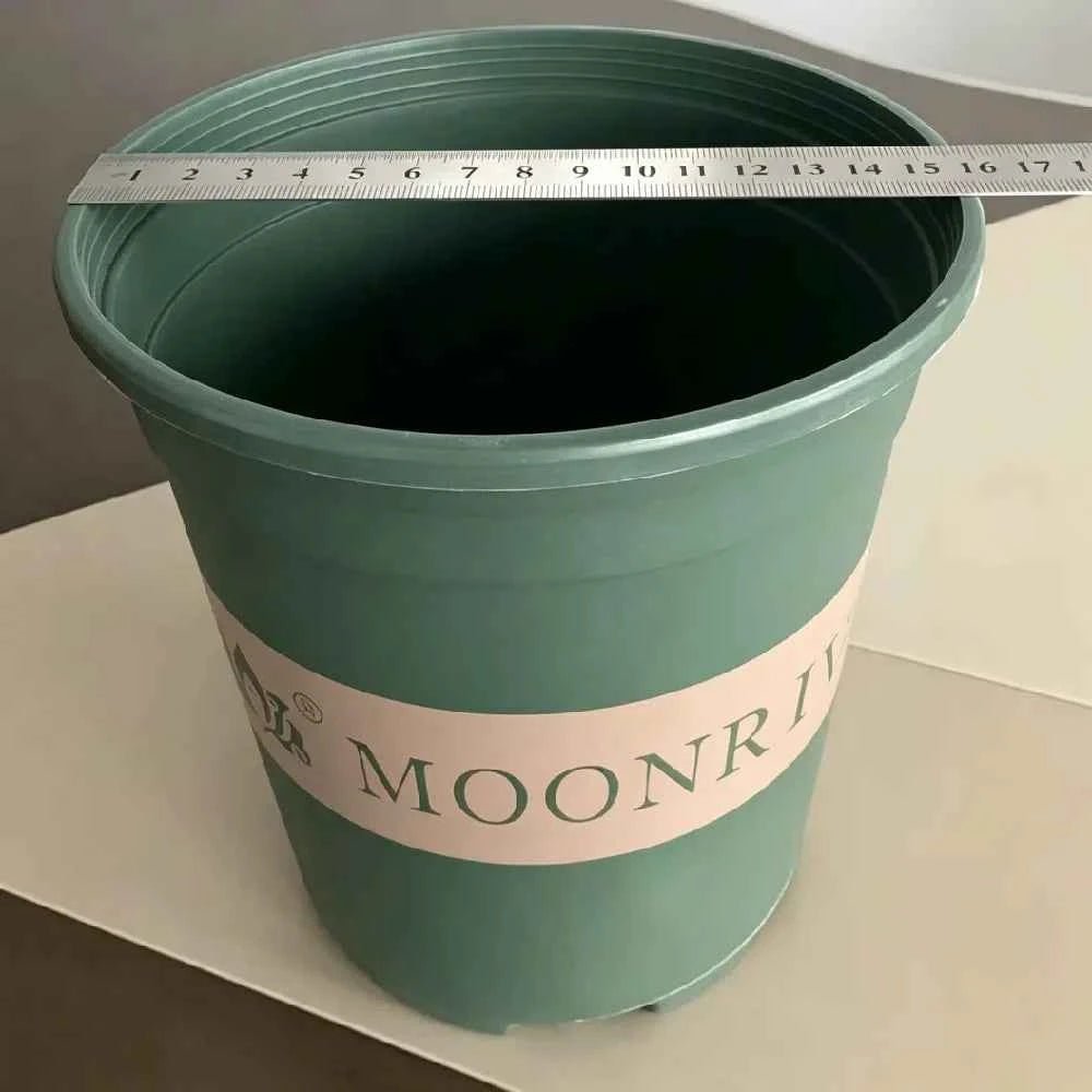 Green plastic planter pot with MOONRI label, open top and textured rim