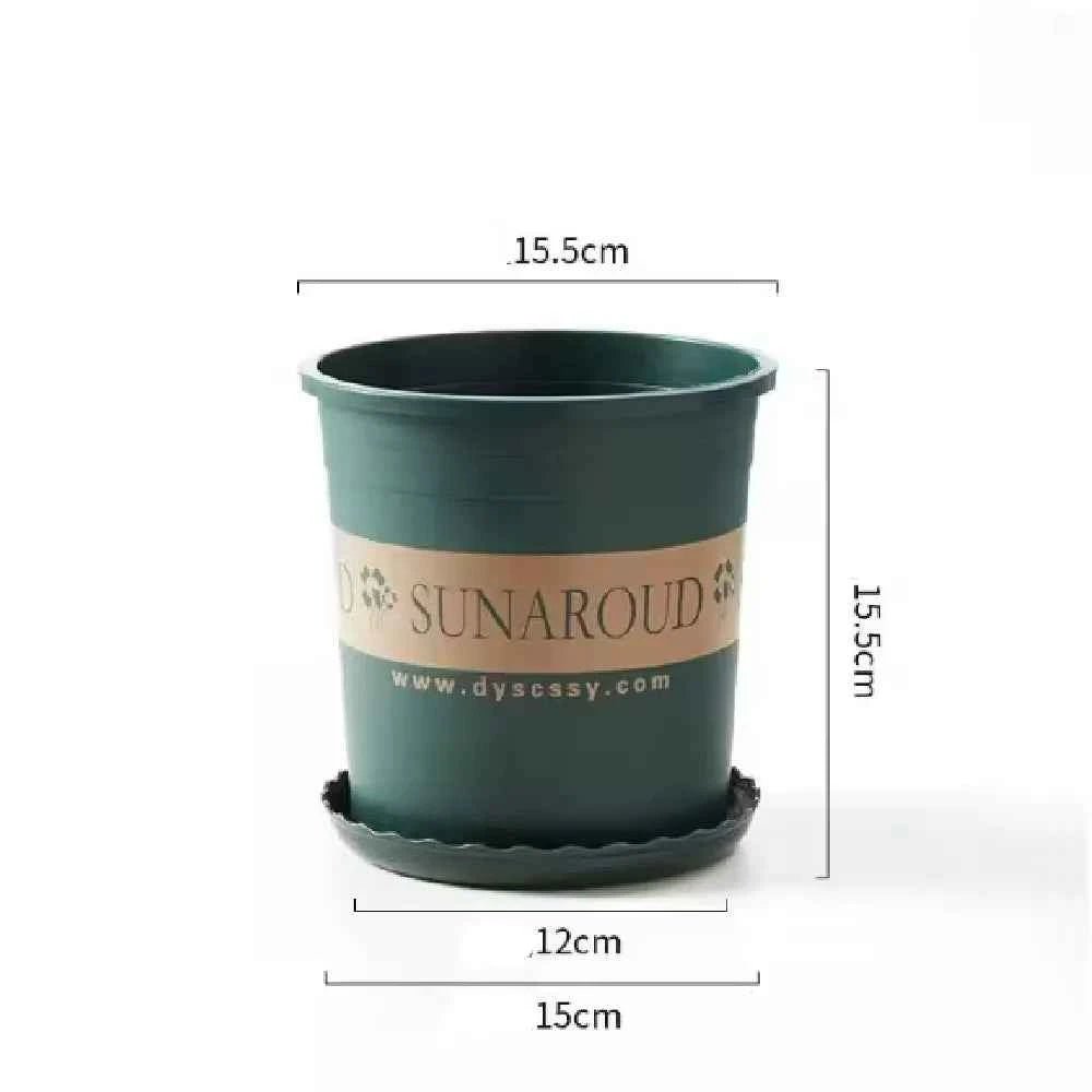 Green plastic pot labeled SUNAROUND, shown with 15.5cm height and 12cm width