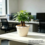 Cream embossed flower pot with floral relief, wide rim, suited for indoor plants