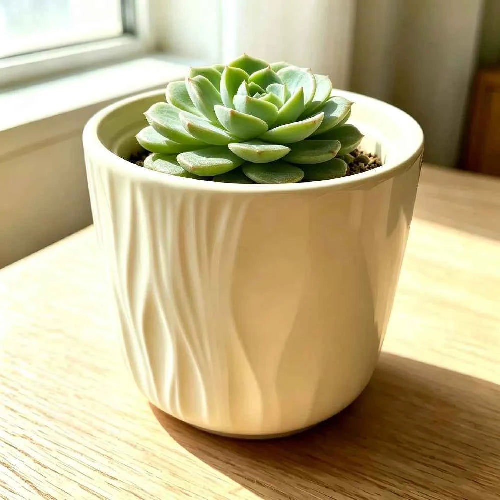 White ceramic planter with vertical ridges, holding a green succulent