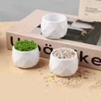 White geometric ceramic planters, faceted sides; one filled with green moss and soil
