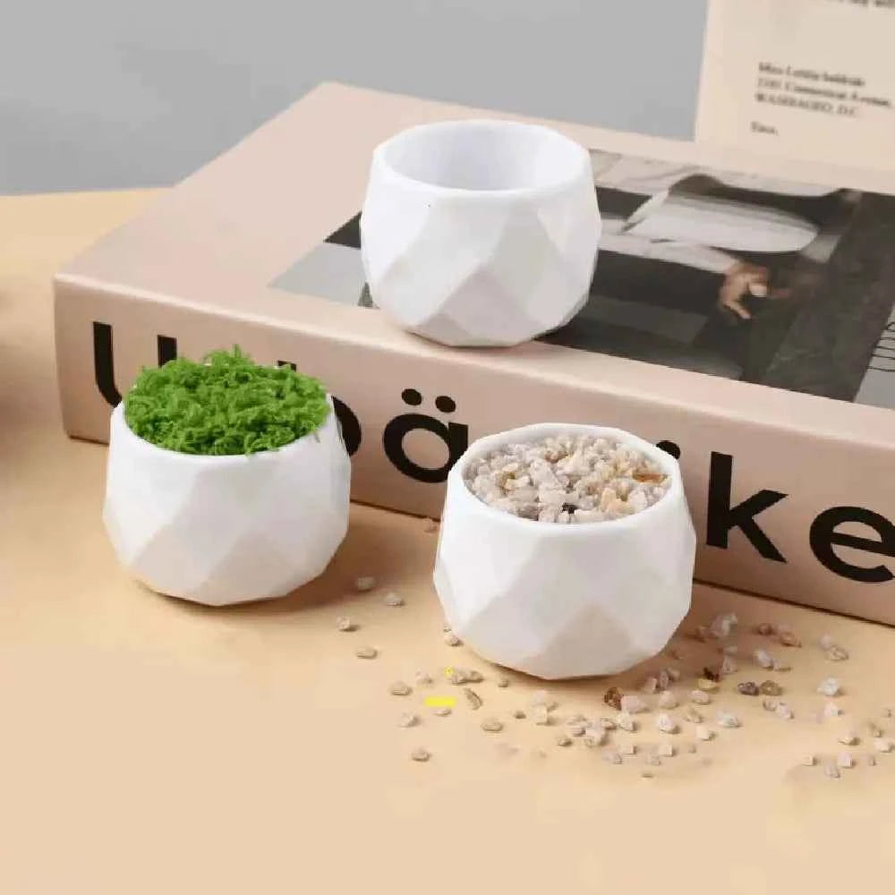 White geometric ceramic planters, faceted sides; one filled with green moss and soil