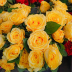Cluster of yellow-orange and cream rose blossoms with green leaves, close-up