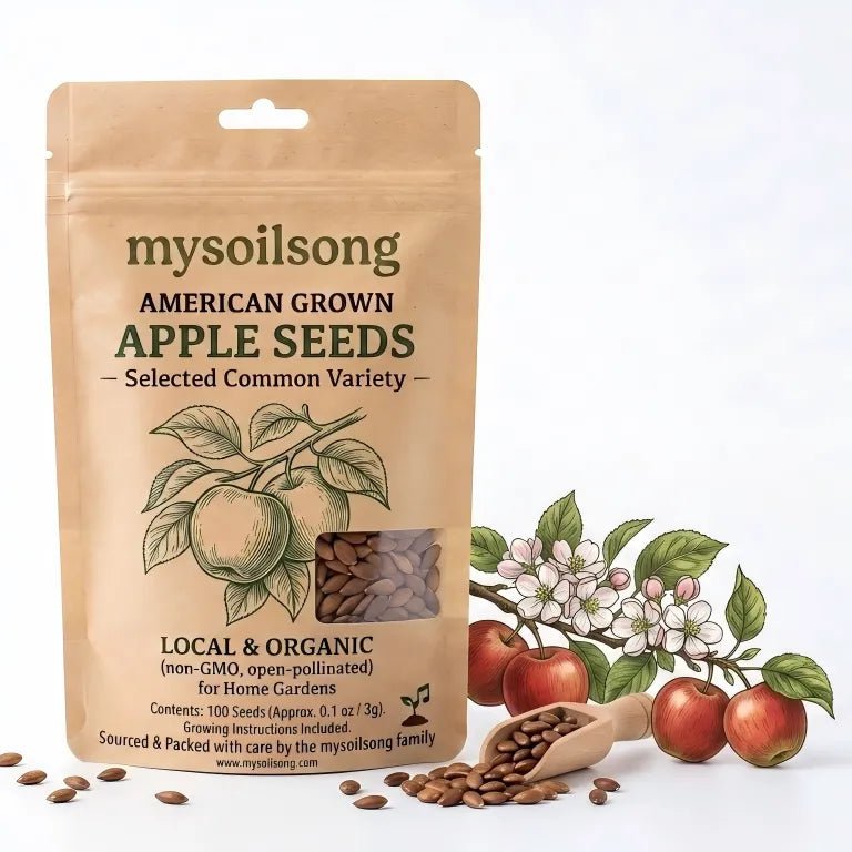 Apple Seeds - 100 Seeds - mysoilsong
