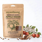 Apple Seeds - 100 Seeds - mysoilsong