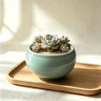 Teal bowl-shaped ceramic planter with succulents, 3.5 in.