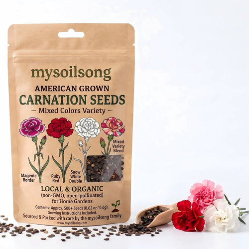 Carnation Seeds - 500 Seeds - mysoilsong