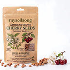 Cherry Seeds - 100 Seeds - mysoilsong