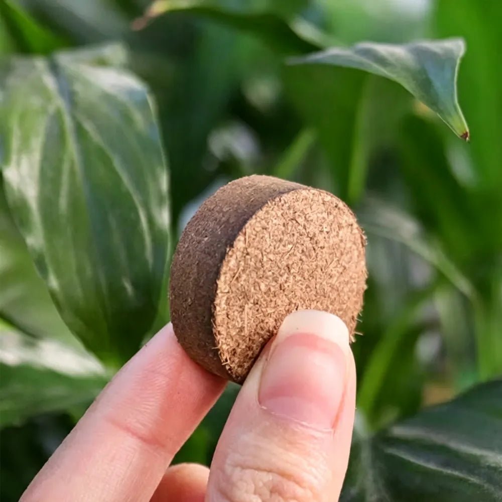 Compressed coconut coir block, round plug, tan-brown, held between fingers.