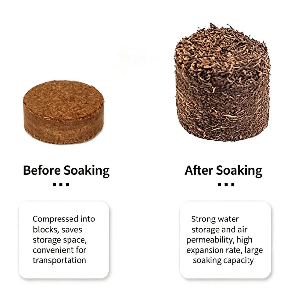 Compressed coir blocks, dry small puck and larger wet block, brown fiber.