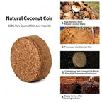 Compressed coconut coir block, oval husk fiber, beige-brown.