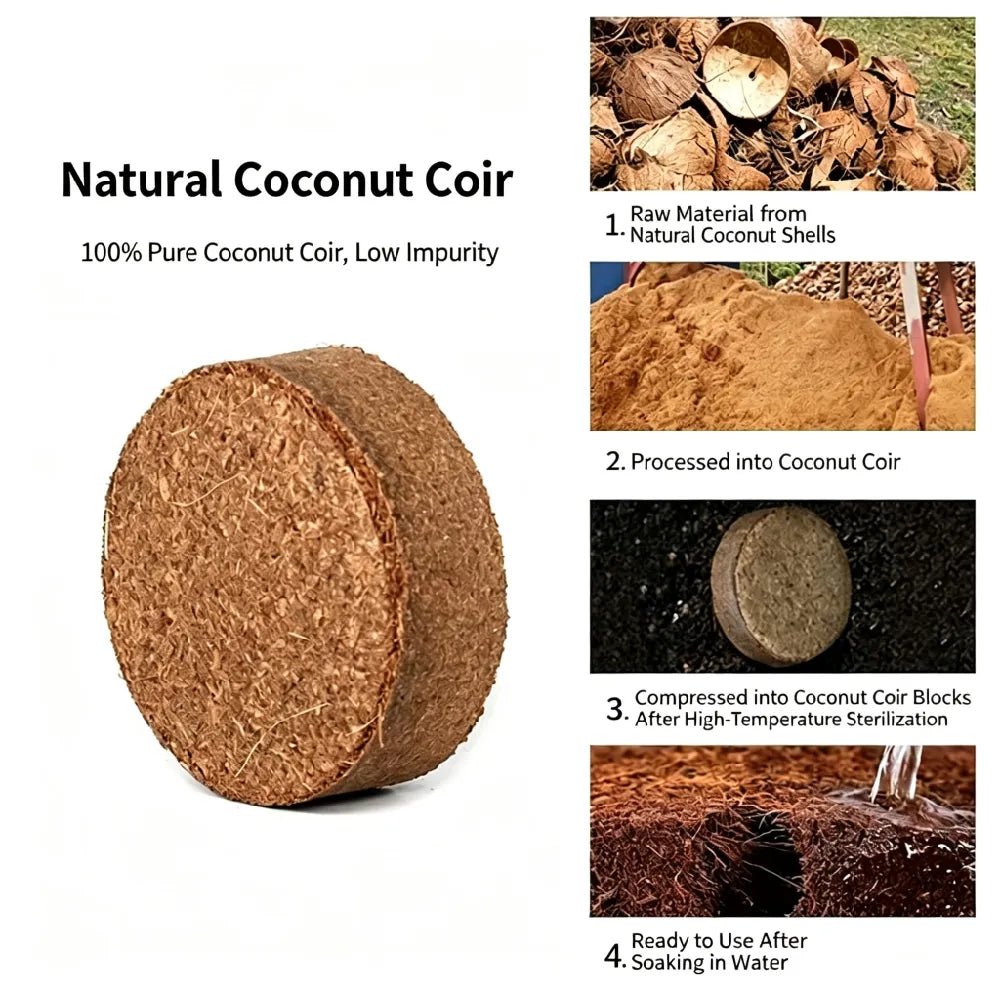 Compressed coconut coir block, oval husk fiber, beige-brown.