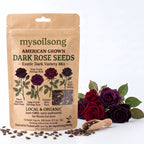 Dark Rose Seeds - 300 Seeds - mysoilsong