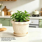 White embossed flower pot with scalloped rim, holding fresh green herbs