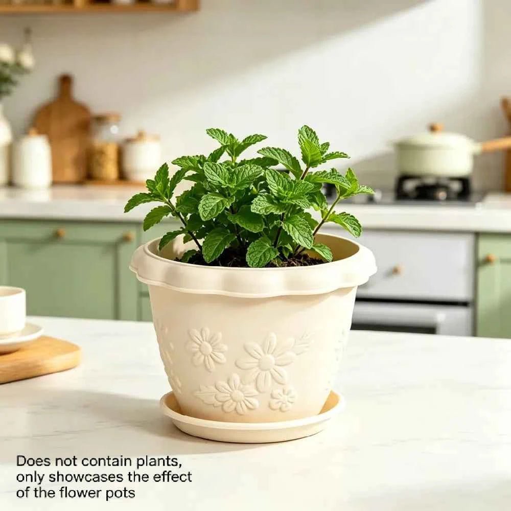 White embossed flower pot with scalloped rim, holding fresh green herbs