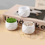 Geometric Diamond Ceramic Planter - 4'' - mysoilsong