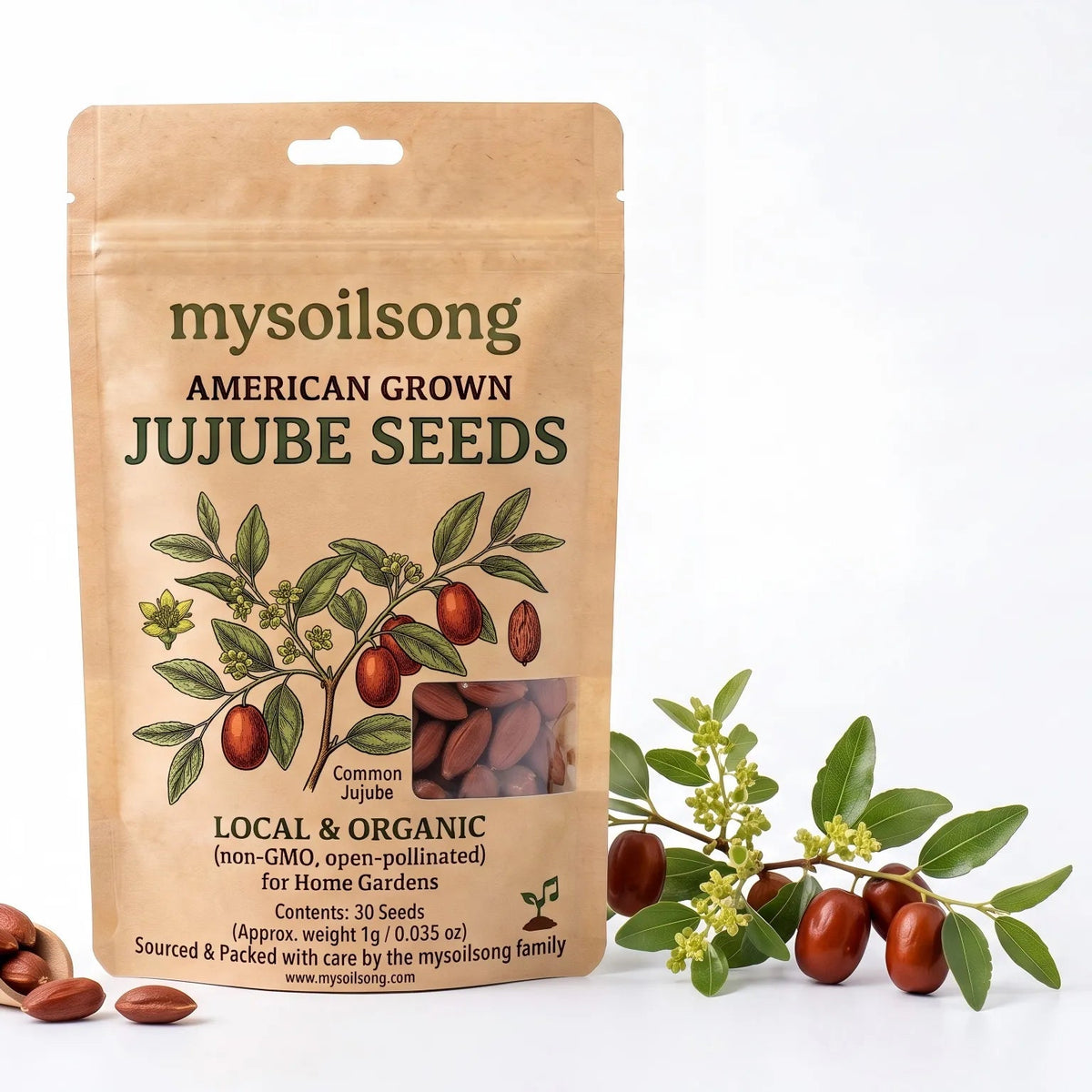 Jujube Seeds - 30 Seeds - mysoilsong