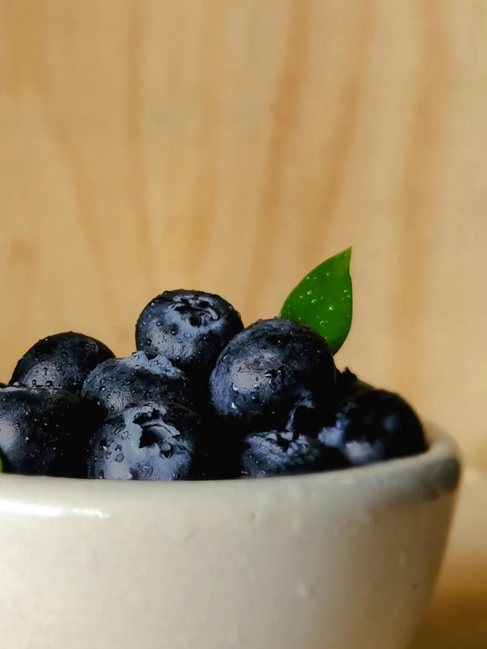 Blueberries in a white bowl with a single green leaf