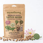 Lotus Seeds - 30 Seeds - mysoilsong