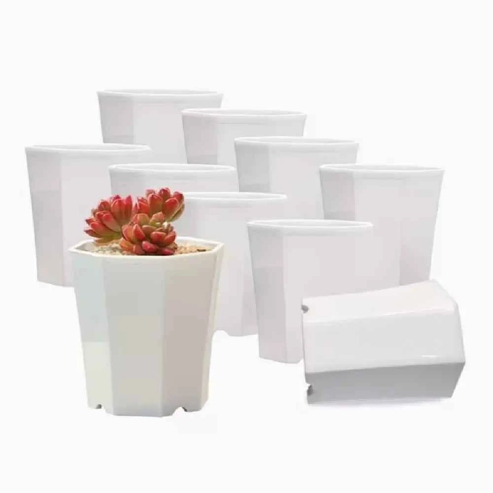 Set of white octagonal succulent planter pots with one red rosette succulent