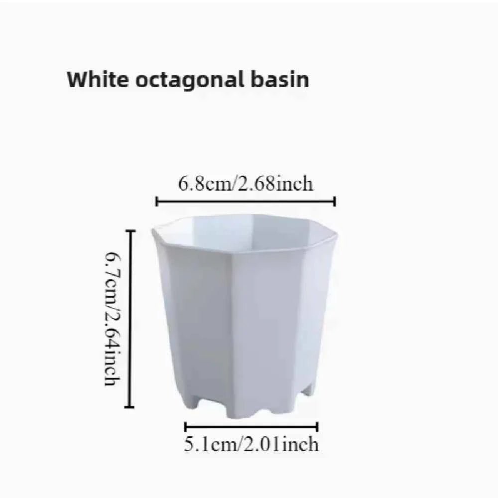 White octagonal planter pot, about 7cm high; 6.8cm top; 5.1cm base