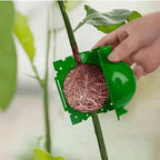 Air layering pod with green cover holding a root ball on a plant stem