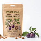 Plum Seeds - 100 Seeds - mysoilsong