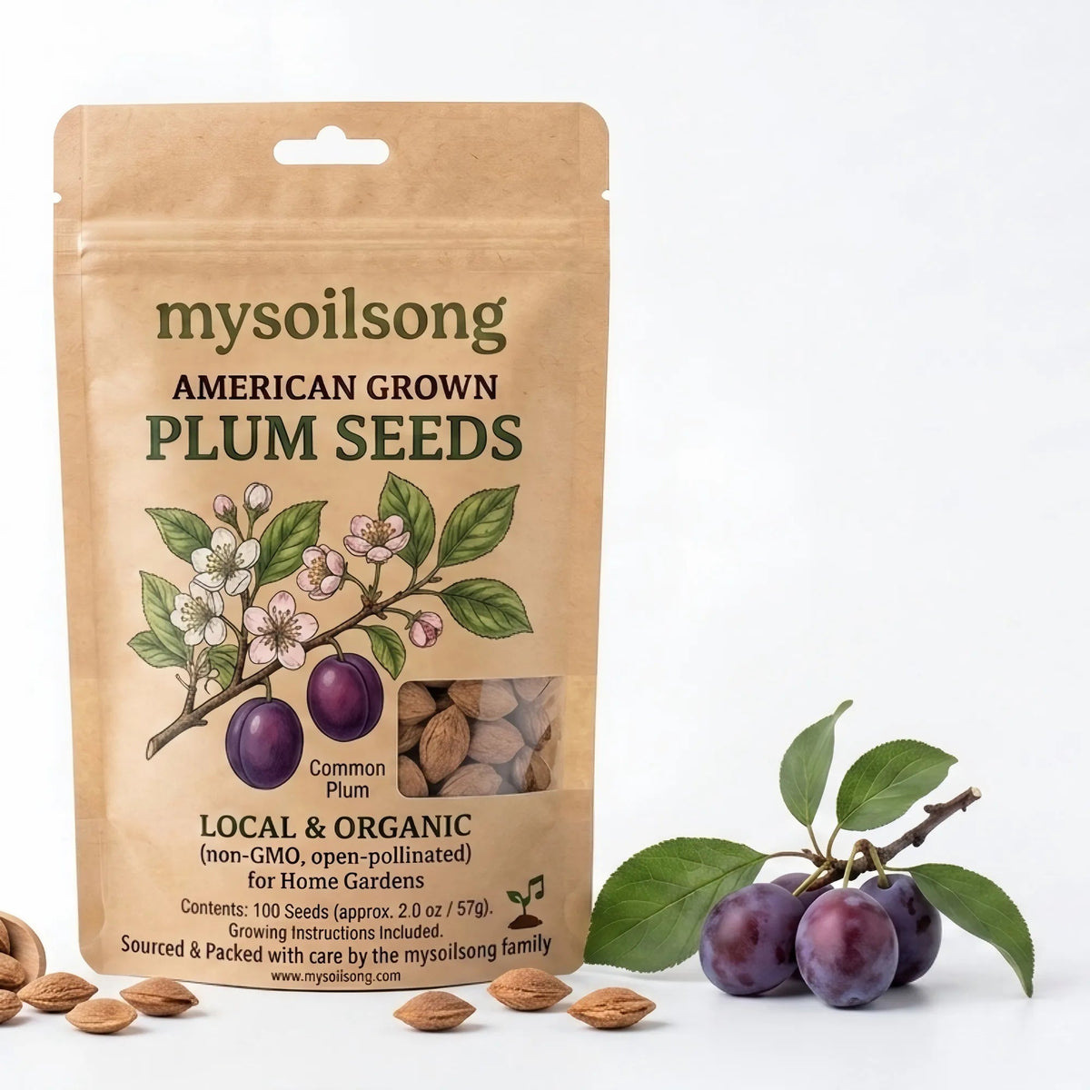 Plum Seeds - 100 Seeds - mysoilsong