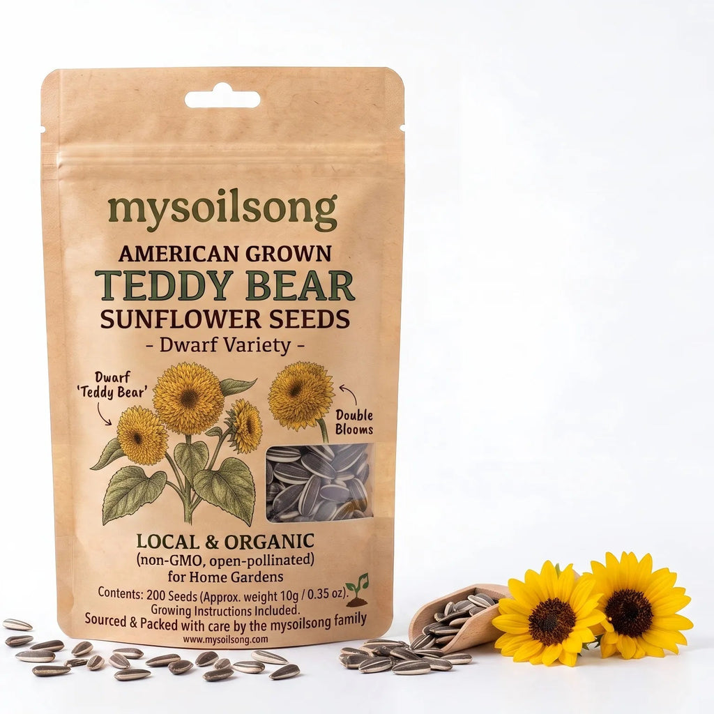 Teddy Bear Sunflower Seeds - 200 Seeds - mysoilsong