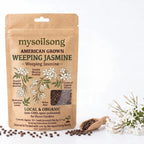 Weeping Jasmine Seeds - 50 Seeds - mysoilsong